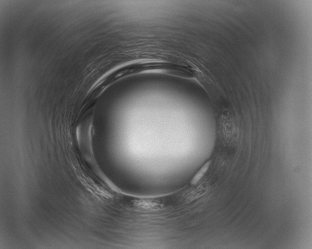 X0000052560380200507081642