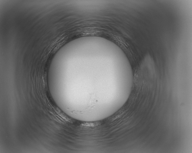 X0000052560381200507081642