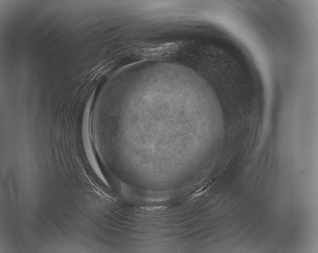 X0000052560383200507081642