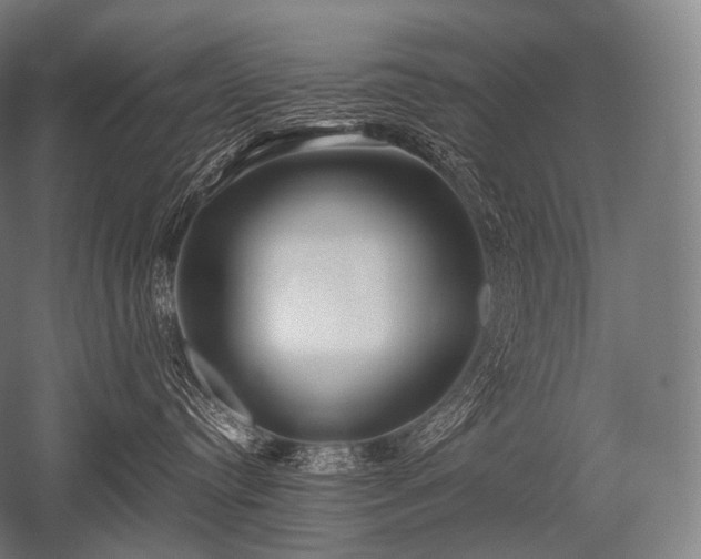 X0000052560384200507081642