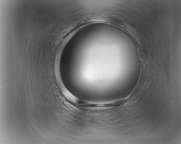 X0000052560385200507081641