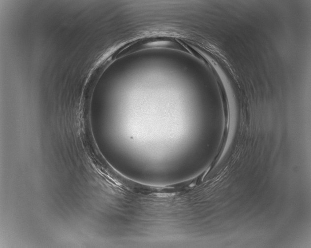 X0000052560388200507081641
