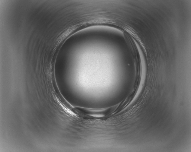 X0000052560389200507081641