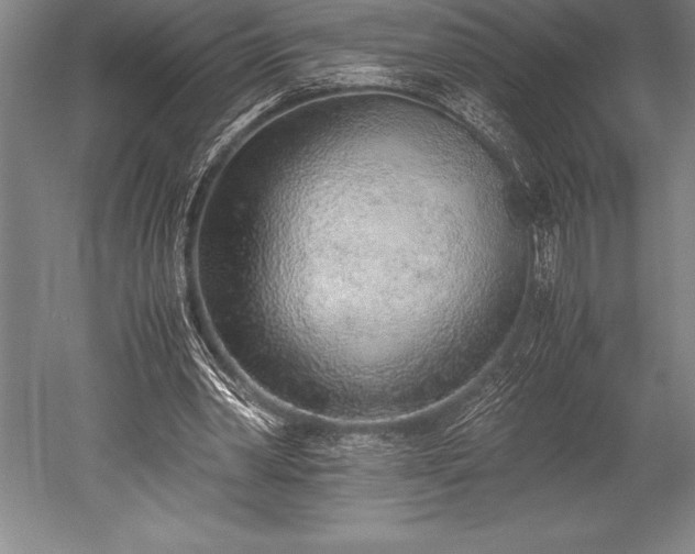 X0000052560390200507081641