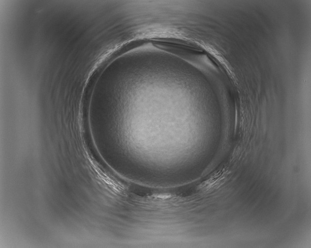 X0000052560391200507081641