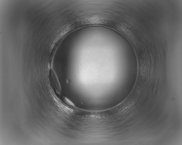 X0000052560394200507081641