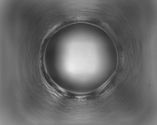 X0000052560395200507081641