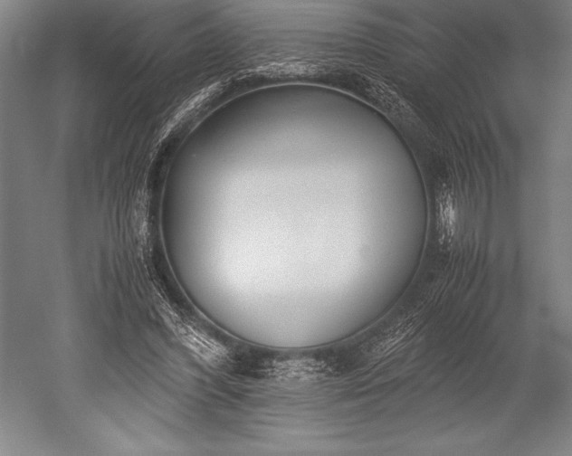 X0000052560396200507081641