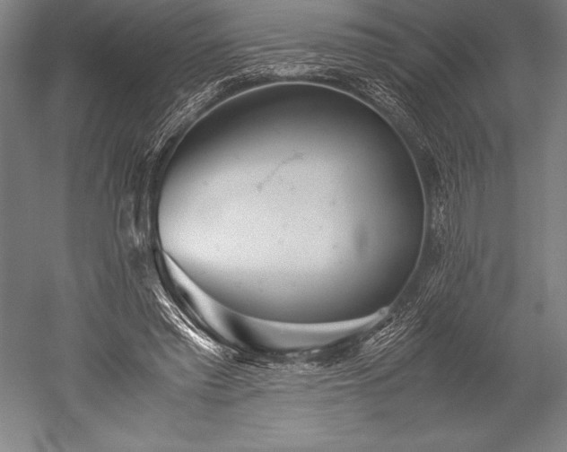 X0000052560397200507081641