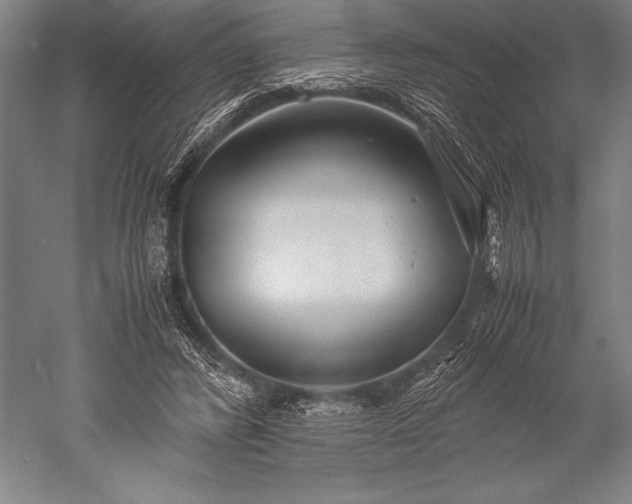 X0000052560400200507081641