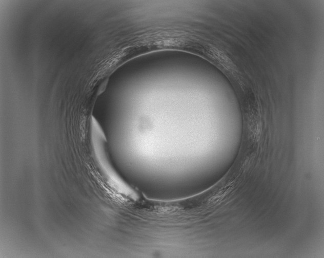 X0000052560401200507081641