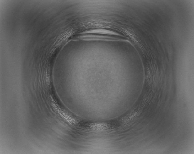 X0000052560402200507081641