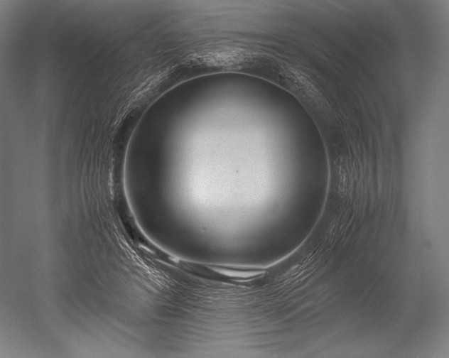 X0000052560404200507081641