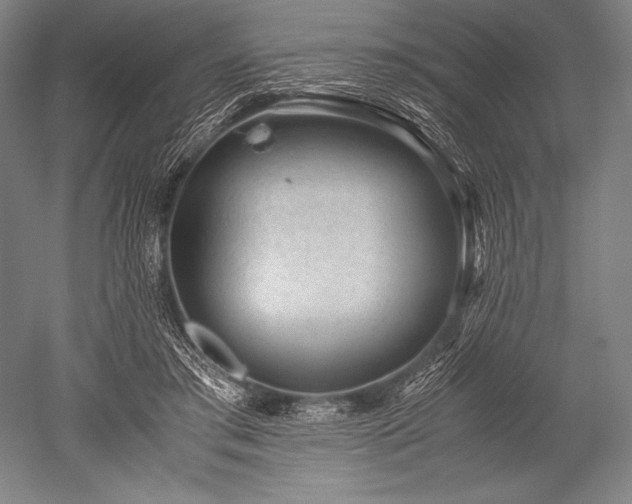 X0000052560405200507081641