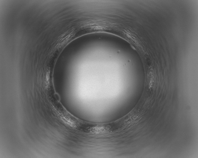 X0000052560406200507081641