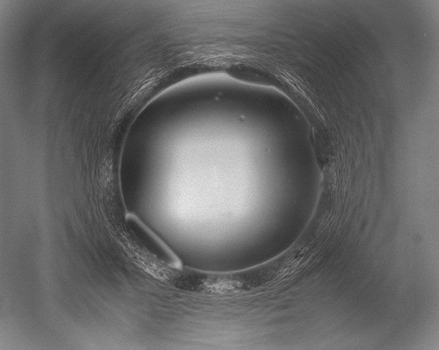 X0000052560407200507081641