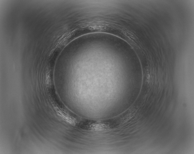 X0000052560408200507081641
