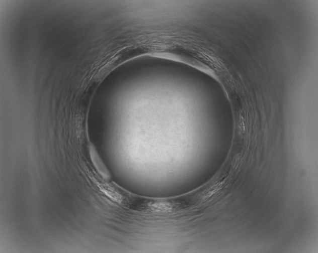 X0000052560409200507081641