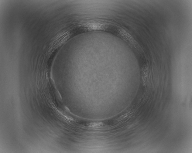 X0000052560410200507081641