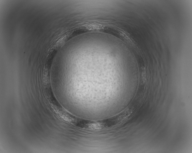 X0000052560411200507081641
