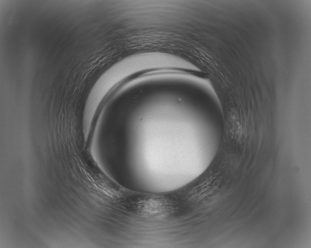 X0000052560412200507081641