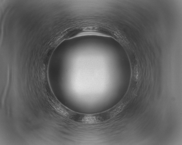 X0000052560413200507081641