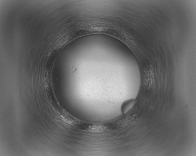 X0000052560414200507081641