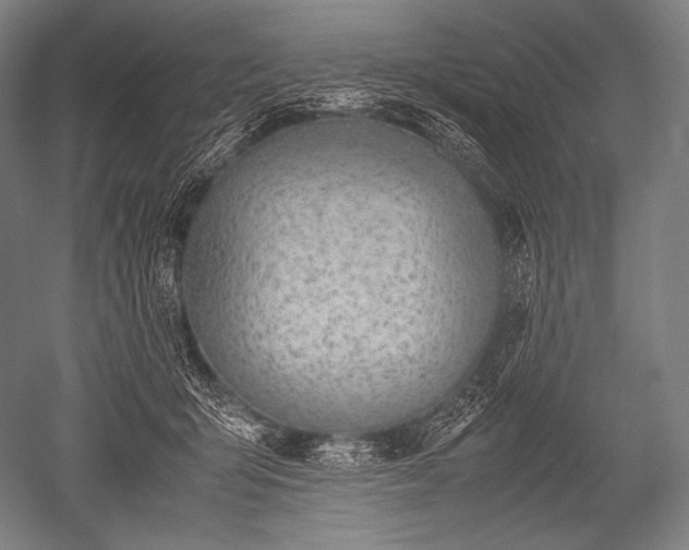 X0000052560415200507081641