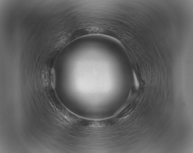 X0000052560416200507081641