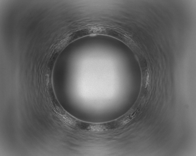 X0000052560417200507081641