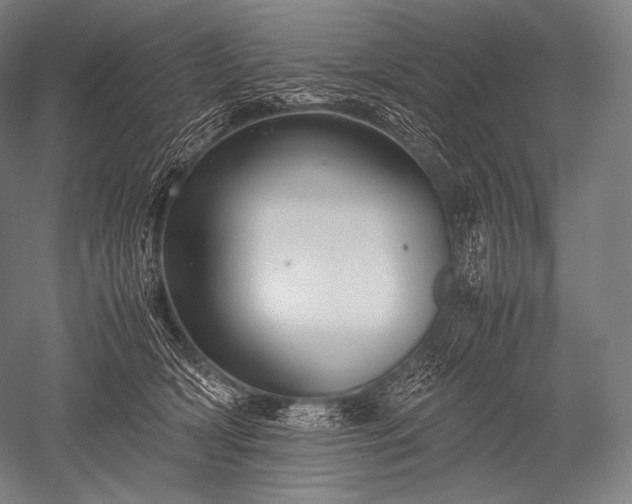 X0000052560418200507081641