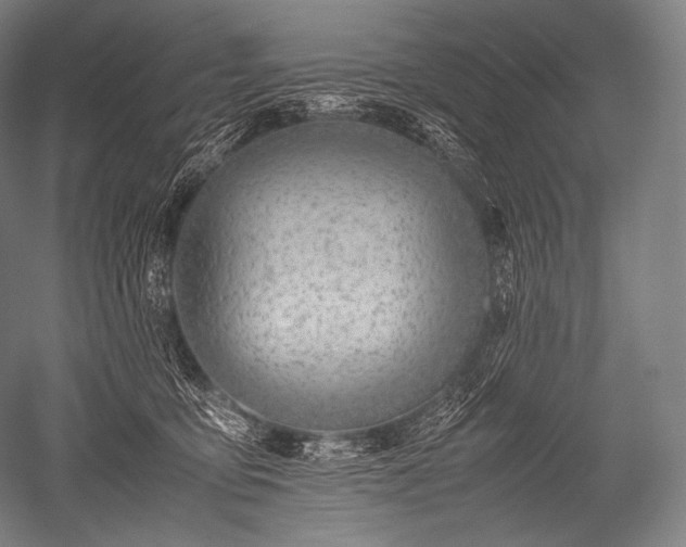 X0000052560419200507081641