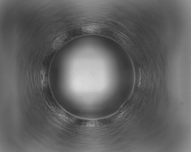 X0000052560420200507081640