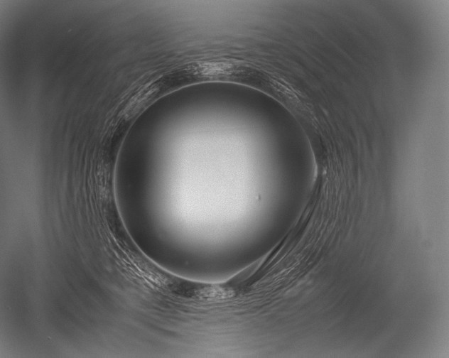 X0000052560421200507081640