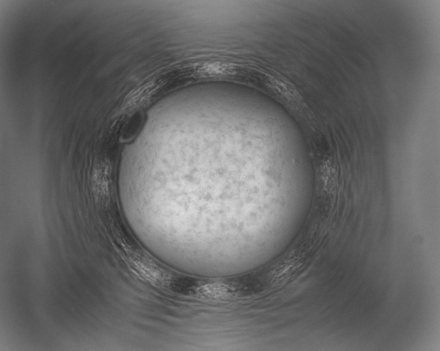 X0000052560423200507081640