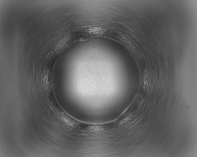 X0000052560424200507081640