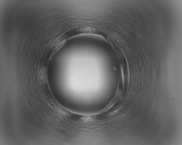 X0000052560425200507081640