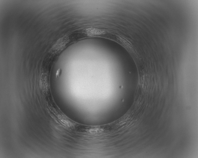 X0000052560426200507081640
