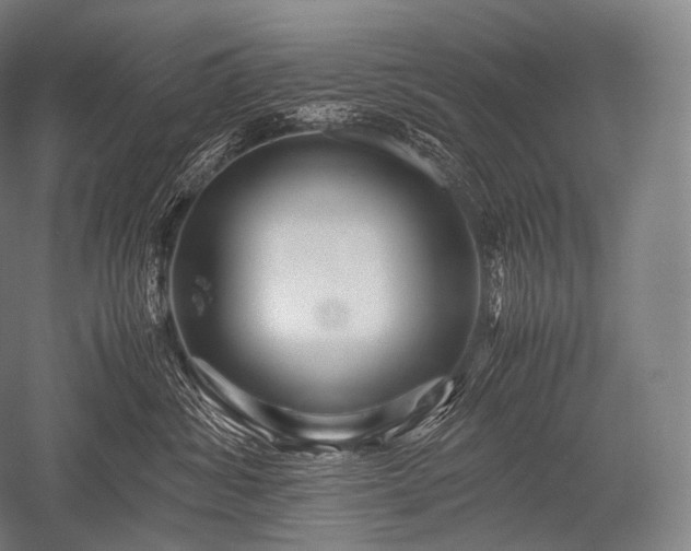 X0000052560428200507081640