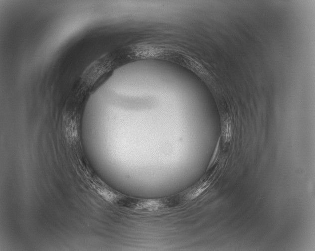 X0000052560431200507081640