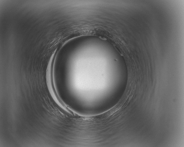 X0000052560432200507081640