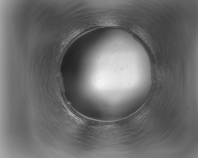 X0000052560433200507081639