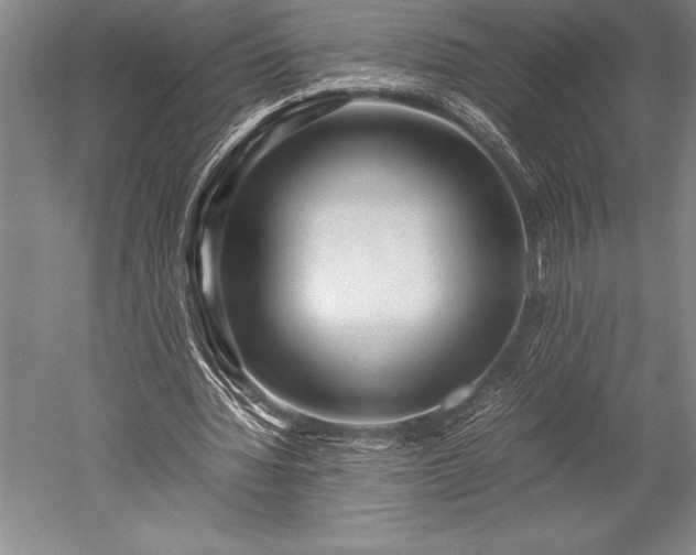 X0000052560436200507081640