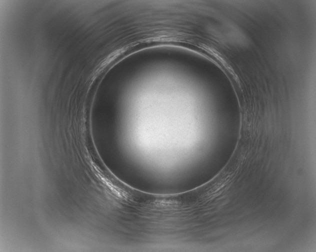 X0000052560437200507081640