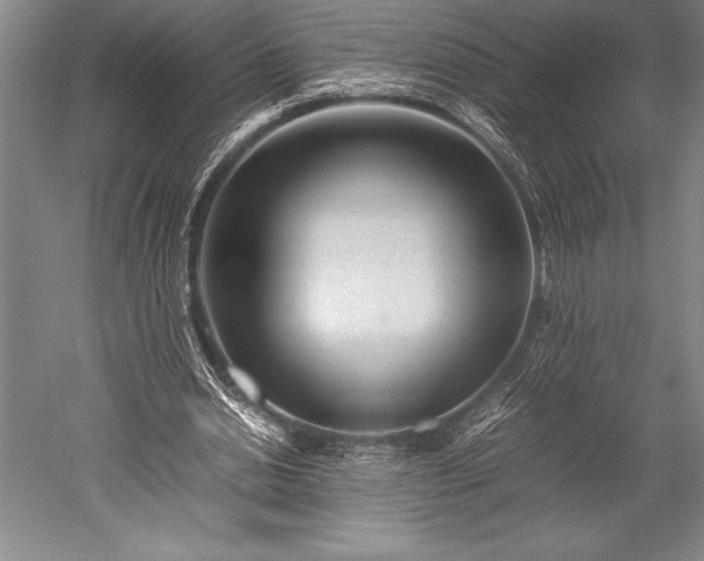 X0000052560438200507081640