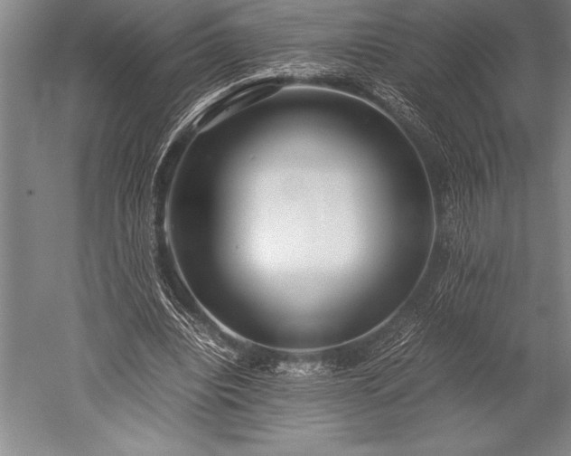 X0000052560440200507081640
