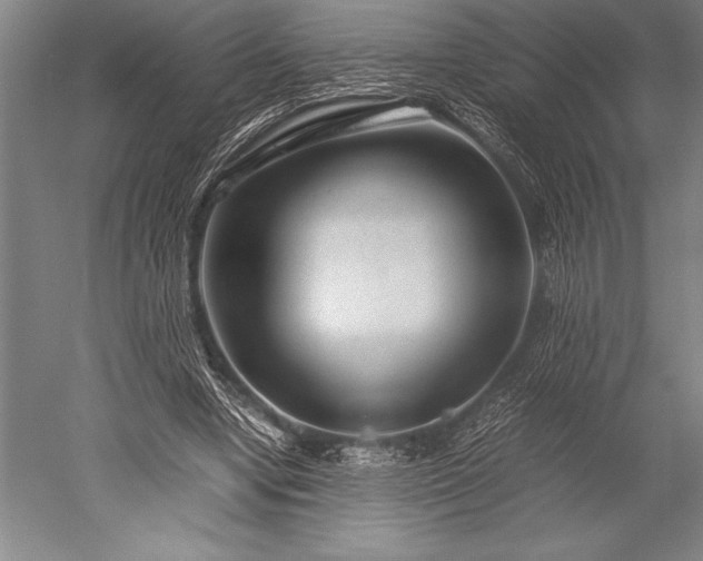 X0000052560442200507081640