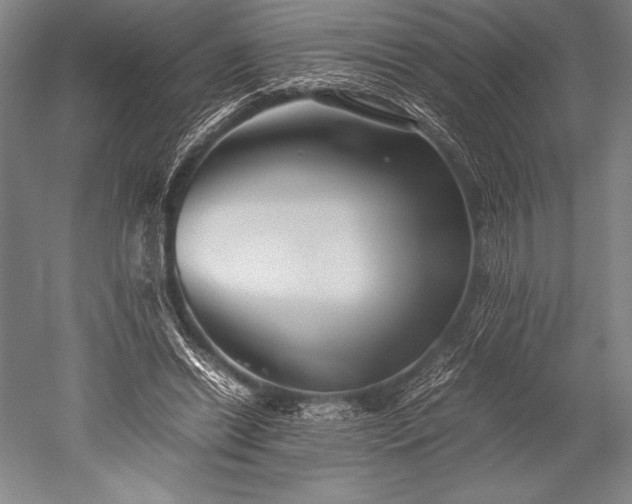 X0000052560446200507081640