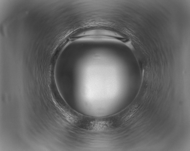 X0000052560448200507081640