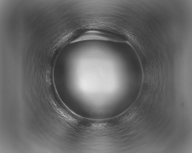 X0000052560450200507081640
